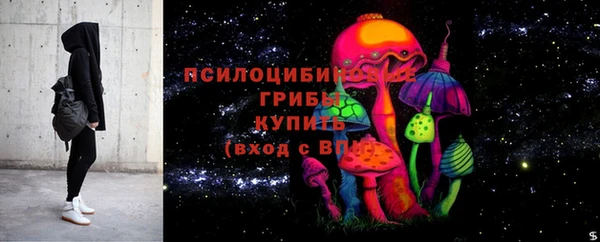 прущий лед Вяземский