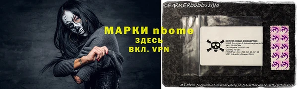 прущий лед Вяземский