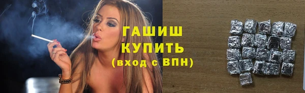 индика Волоколамск