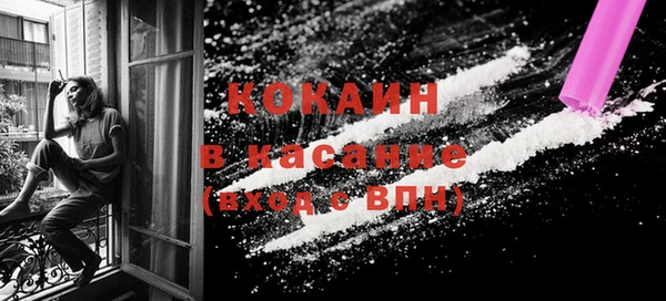 прущий лед Вяземский