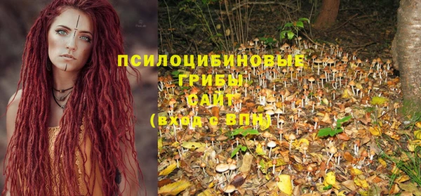 прущий лед Вяземский