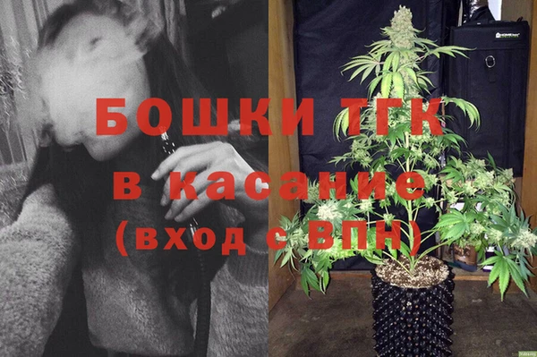 прущий лед Вяземский