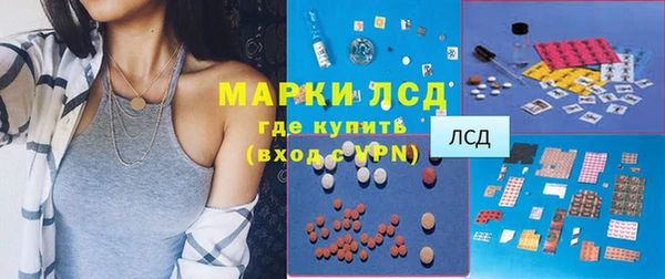 прущий лед Вяземский