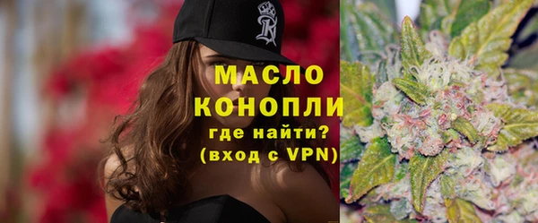 прущий лед Вяземский